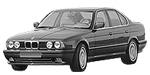 BMW E34 C2455 Fault Code